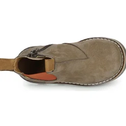 El Naturalista - BROSSI