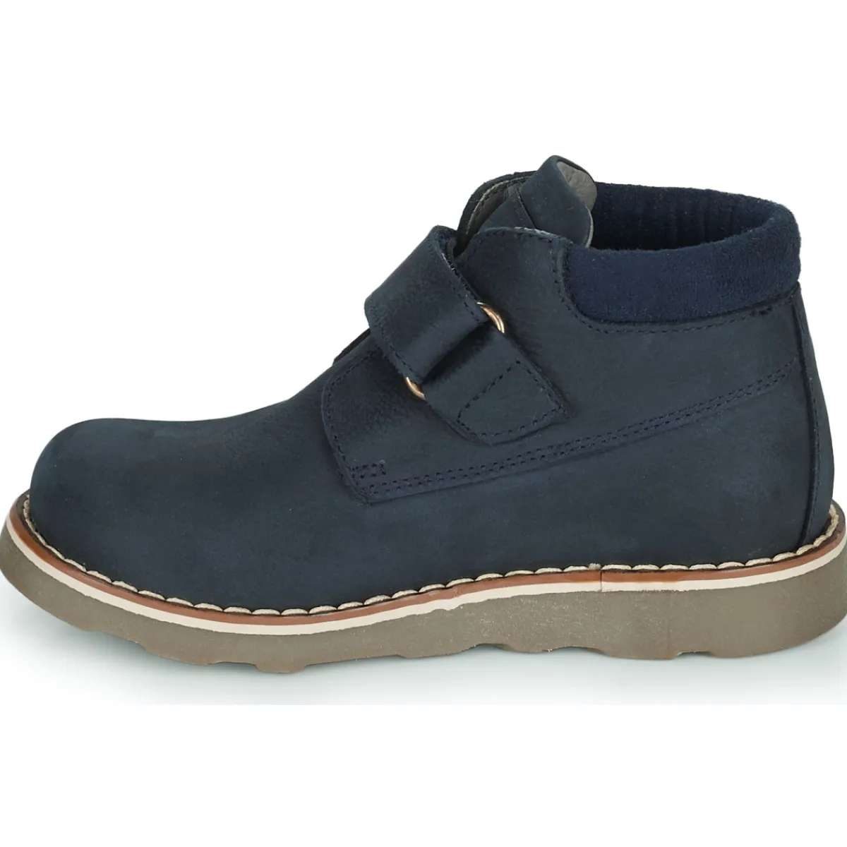 El Naturalista - BROSSI