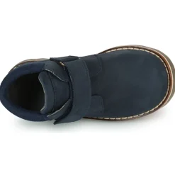 El Naturalista - BROSSI