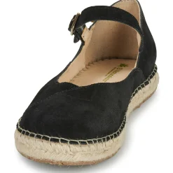 El Naturalista - CAMPOS N679