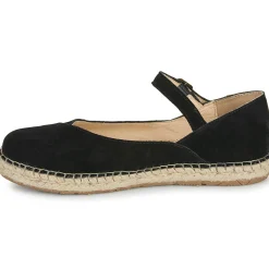 El Naturalista - CAMPOS N679