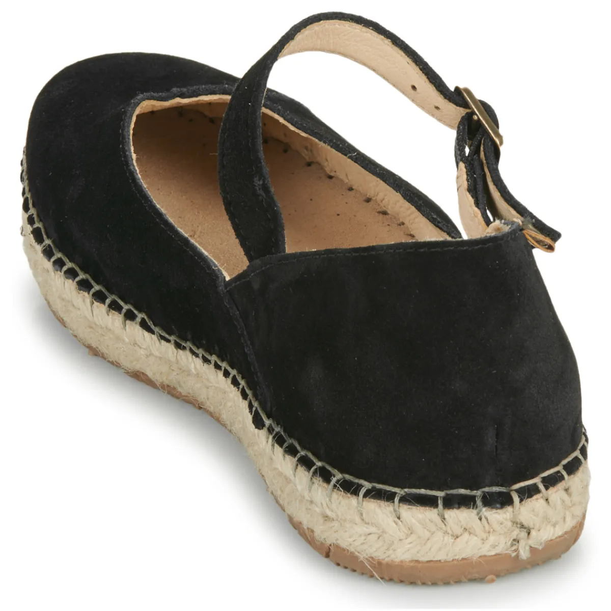 El Naturalista - CAMPOS N679