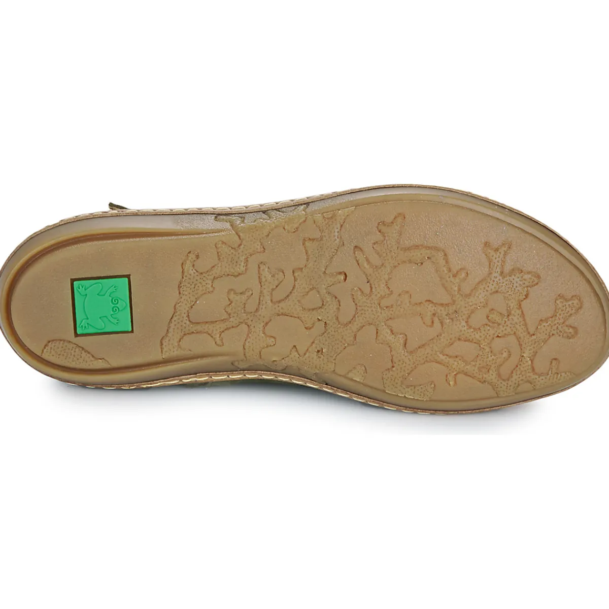 El Naturalista - CORAL 5349 Kaki New