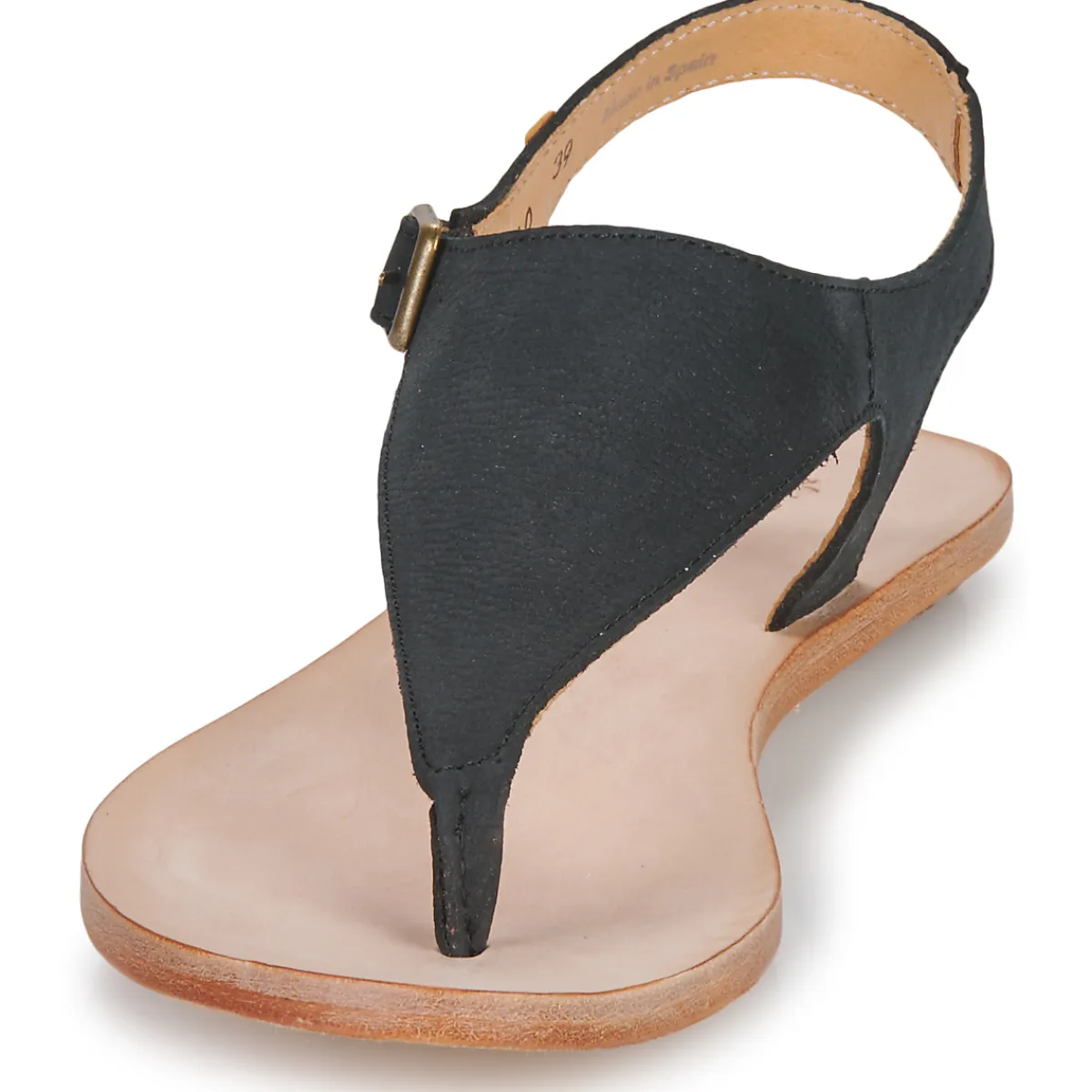 El Naturalista - CORATINA N5710