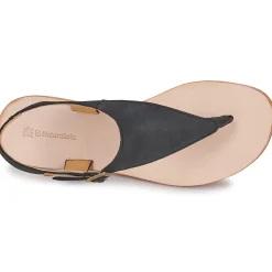 El Naturalista - CORATINA N5710