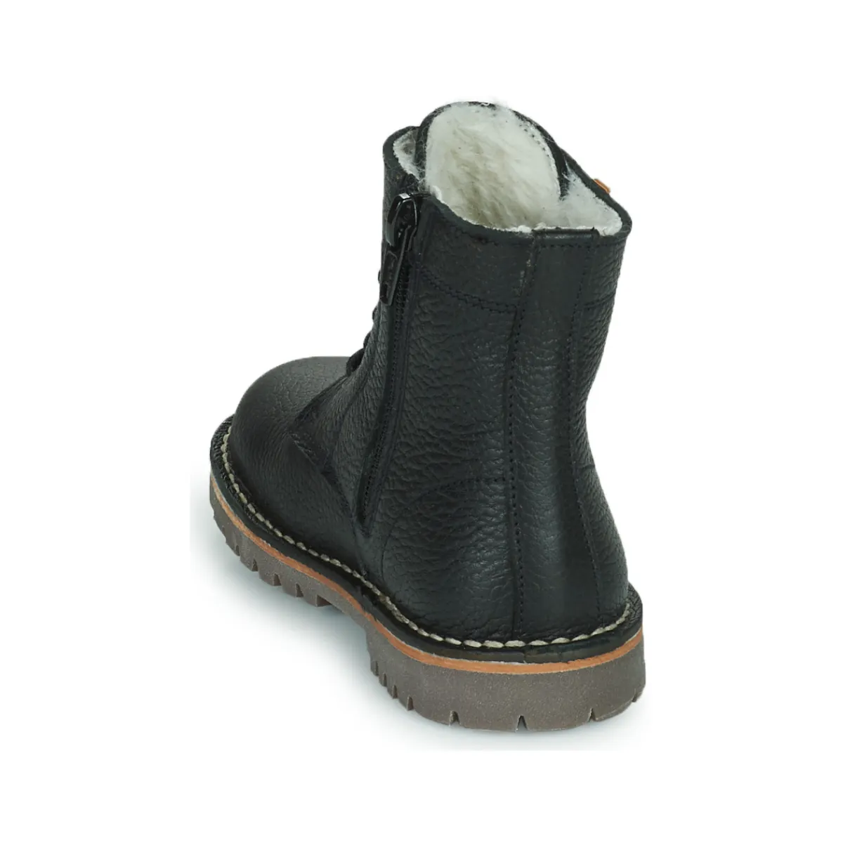 El Naturalista - DENALI