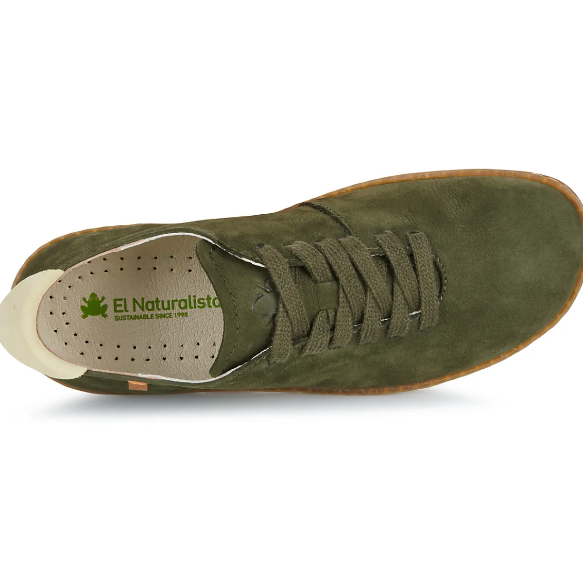 El Naturalista - EL VIAJERO FLIDSU