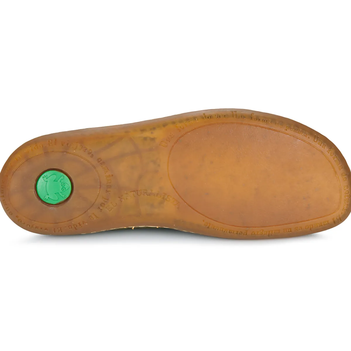 El Naturalista - EL VIAJERO FLIDSU