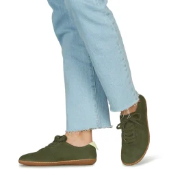 El Naturalista - EL VIAJERO FLIDSU