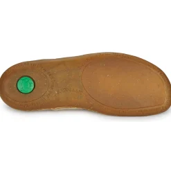 El Naturalista - EL VIAJERO N275