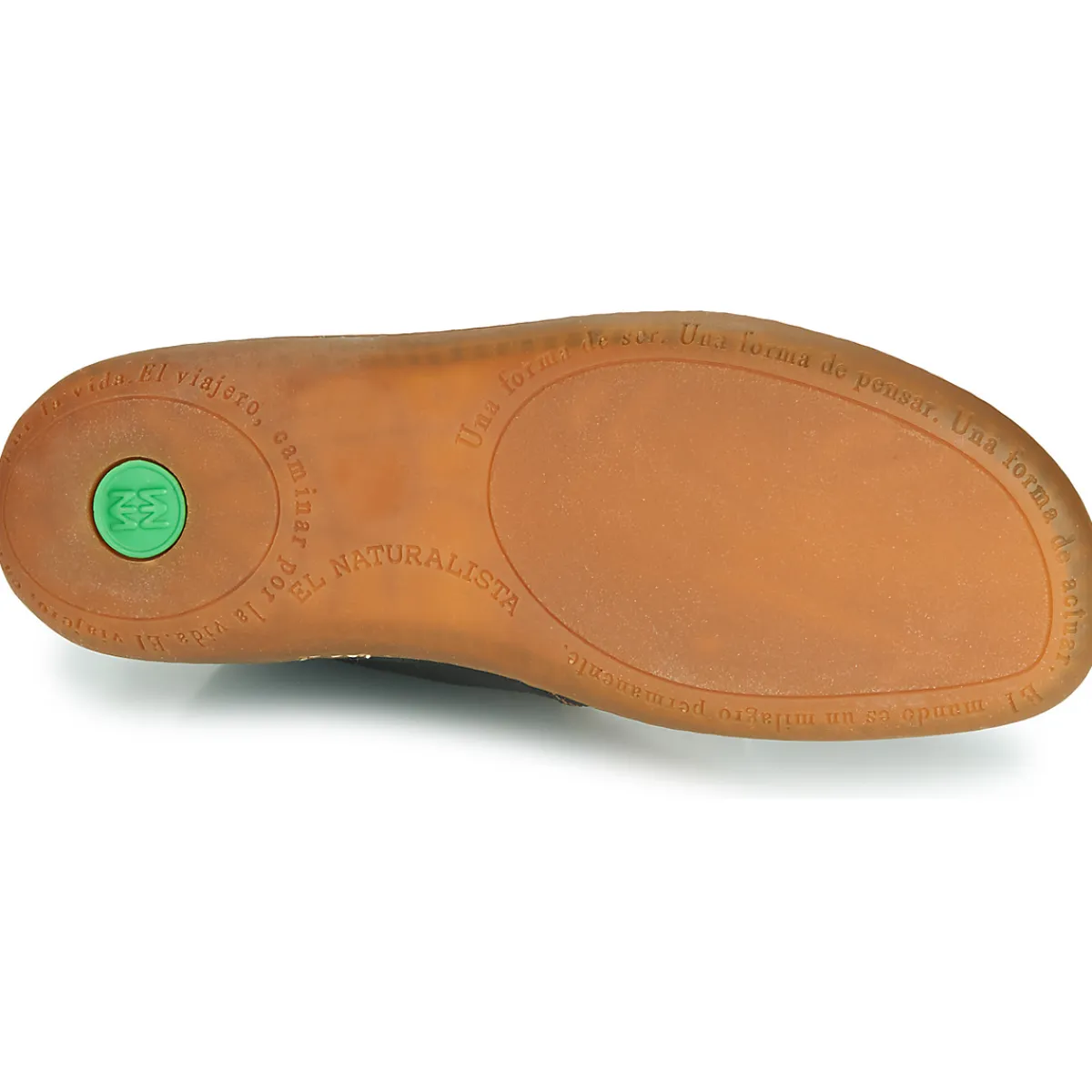 El Naturalista - EL VIAJERO N267