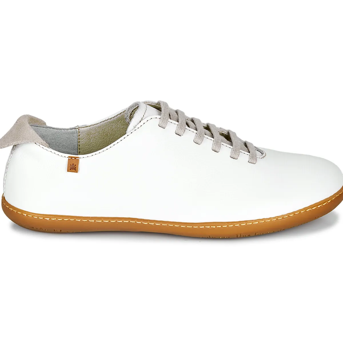 El Naturalista - EL VIAJERO N296