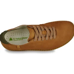 El Naturalista - EL VIAJERO FLIDSU Marron New