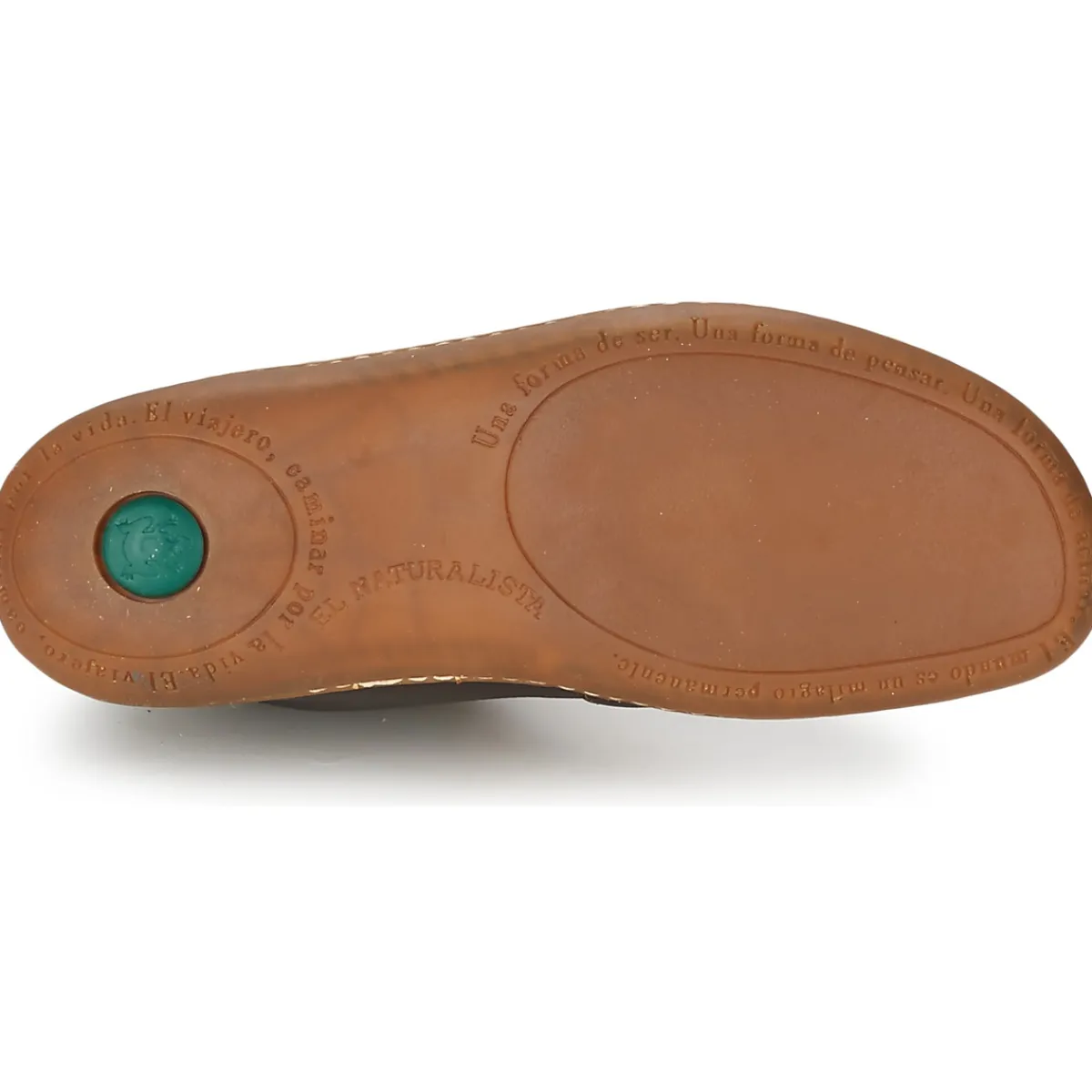 El Naturalista - EL VIAJERO N267