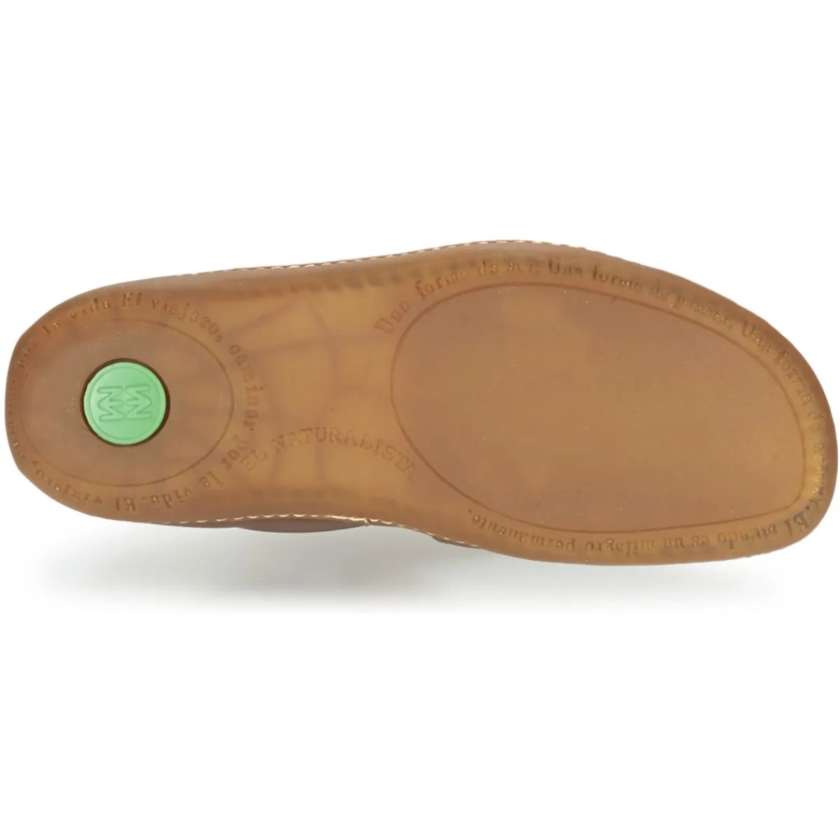 El Naturalista - EL VIAJERO N267