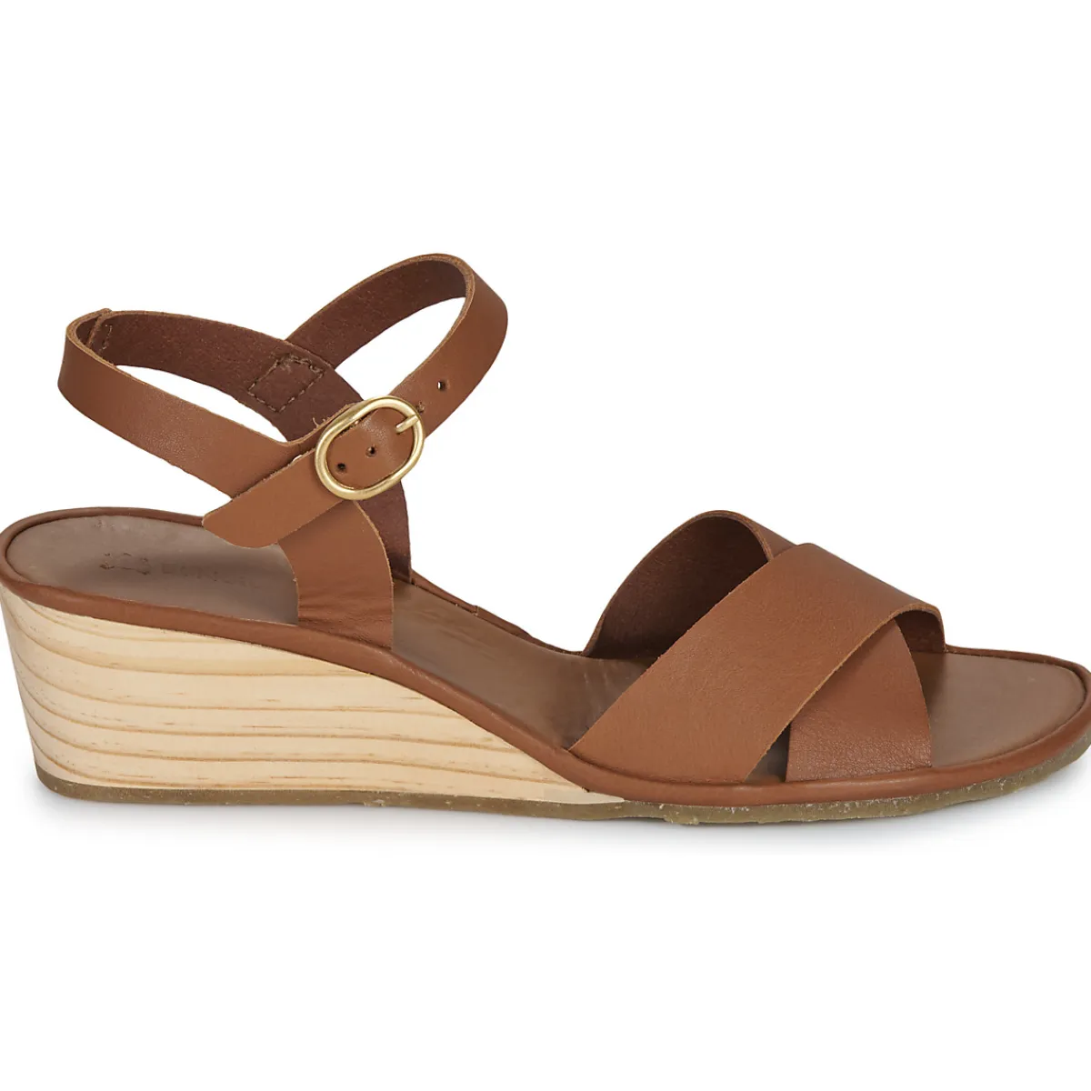 El Naturalista - GAIA N854