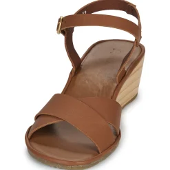 El Naturalista - GAIA N854