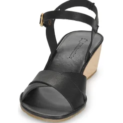 El Naturalista - GAIA N854