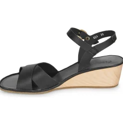 El Naturalista - GAIA N854