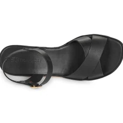 El Naturalista - GAIA N854