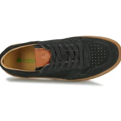 El Naturalista - GEO N5844S Noir Clearance