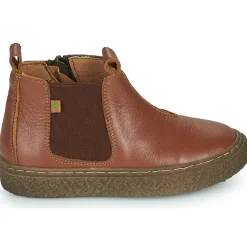 El Naturalista - HELMET