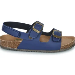 El Naturalista - INCOGNITO Marine