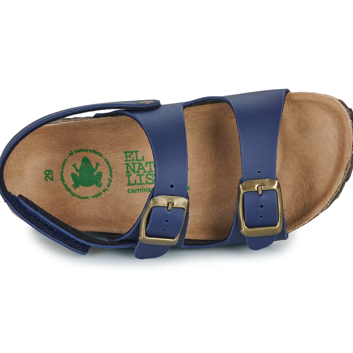 El Naturalista - INCOGNITO Marine