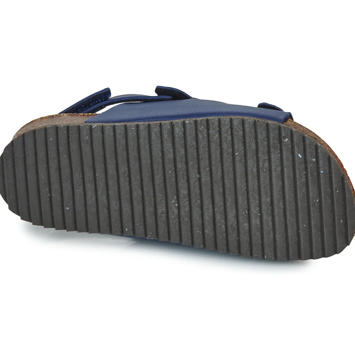 El Naturalista - INCOGNITO Marine