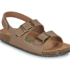 El Naturalista - INCOGNITO