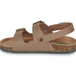 El Naturalista - INCOGNITO