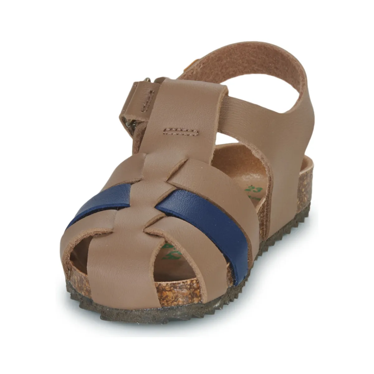 El Naturalista - INCOGNITO Online