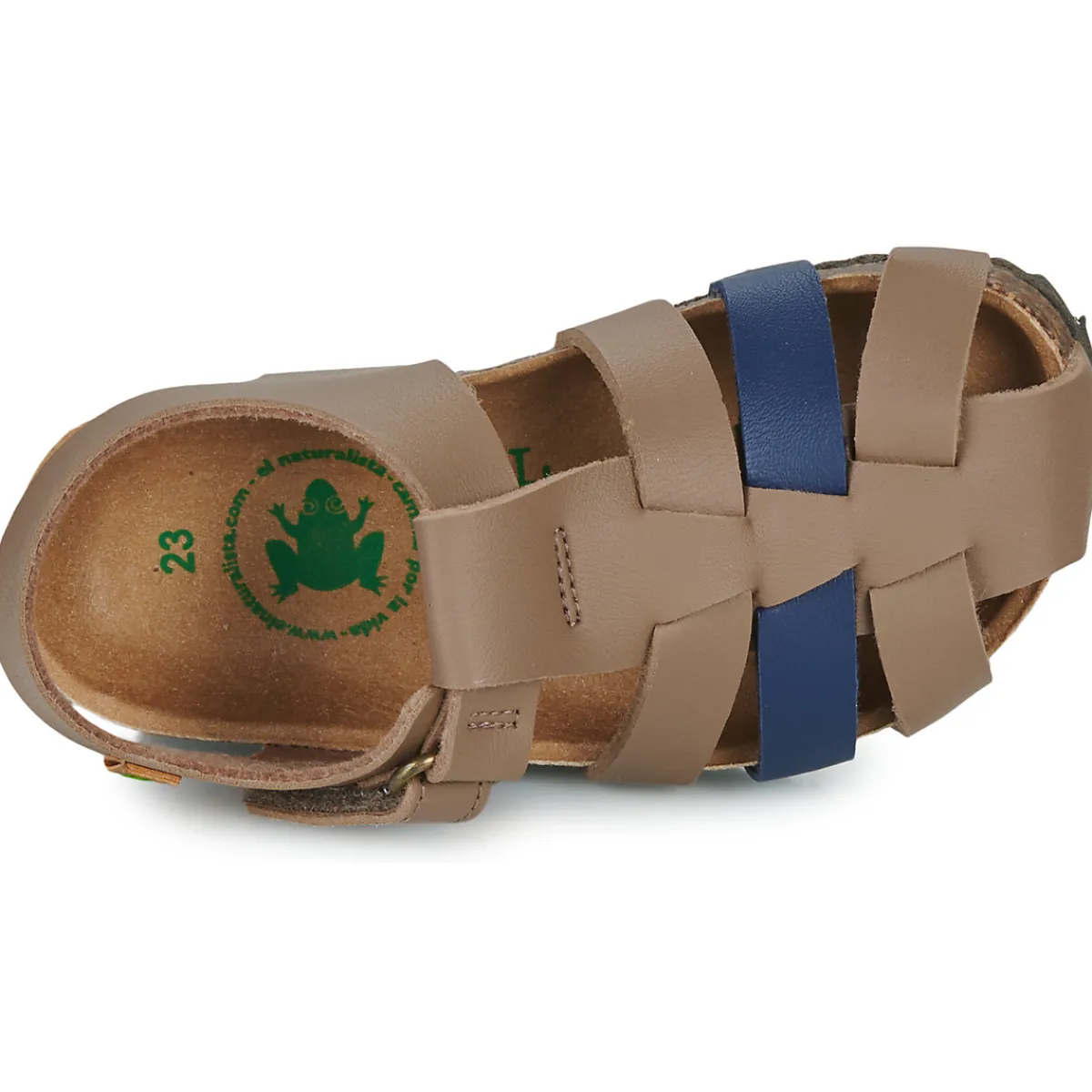 El Naturalista - INCOGNITO Online