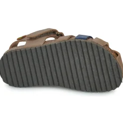 El Naturalista - INCOGNITO Online