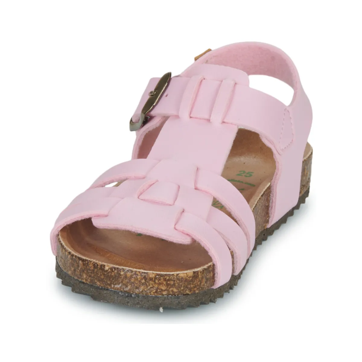 El Naturalista - INCOGNITO