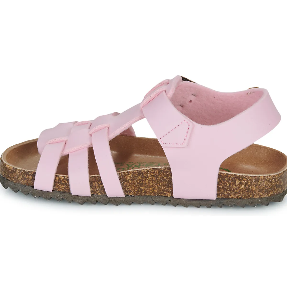 El Naturalista - INCOGNITO