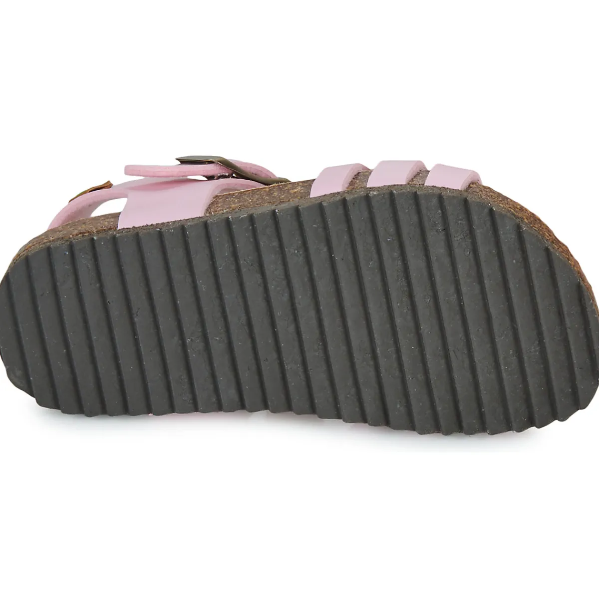 El Naturalista - INCOGNITO