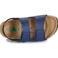 El Naturalista - INCOGNITO Marine Outlet