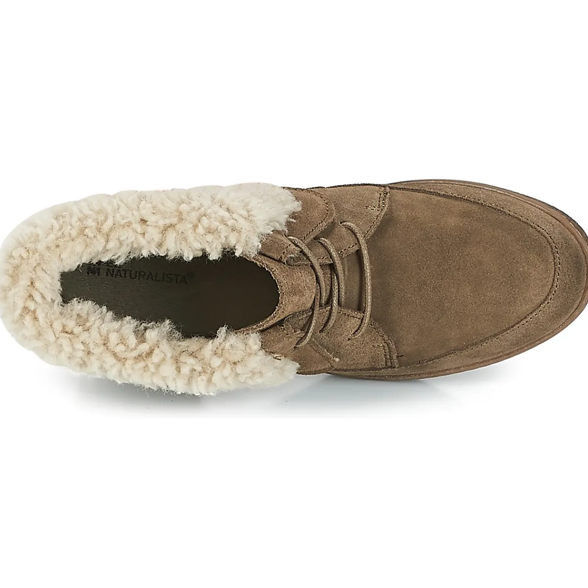 El Naturalista - LICHEN KAKI Outlet