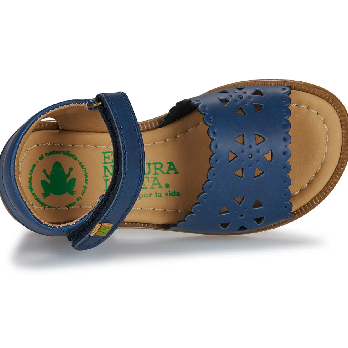 Discount El Naturalista - 15204-MARINO Marine