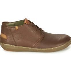 El Naturalista - METEO NF98