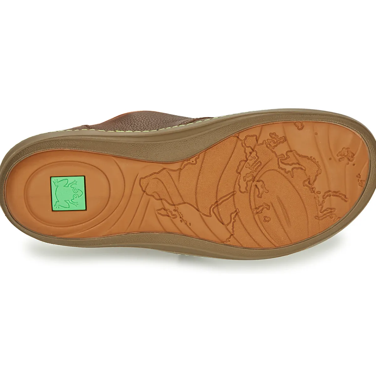 El Naturalista - METEO NF98