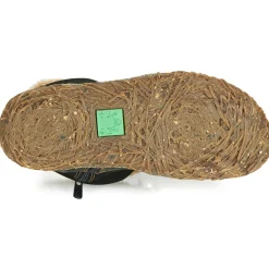 El Naturalista - NIDO N758