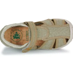 El Naturalista - NT77124-MUSGO