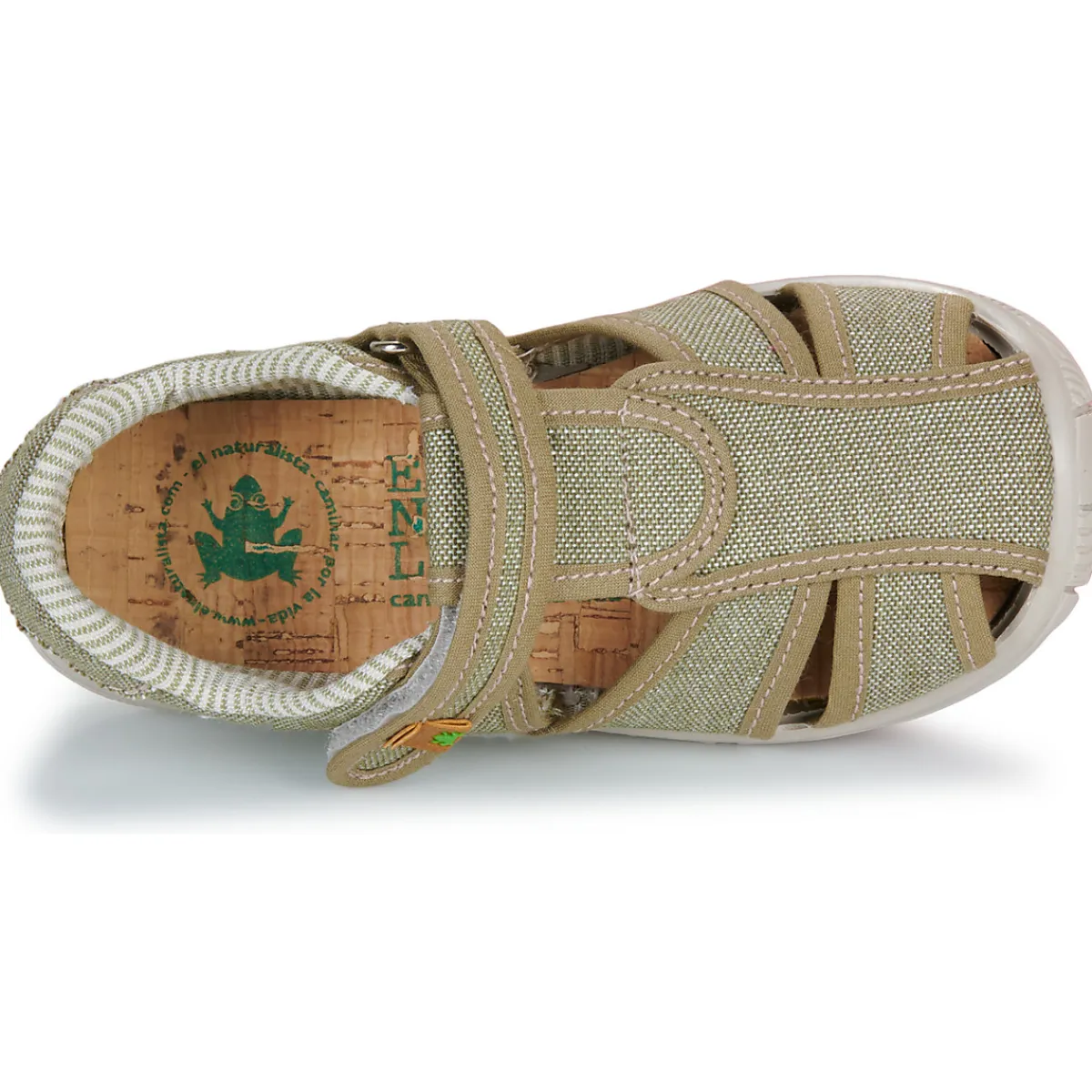 El Naturalista - NT77124-MUSGO