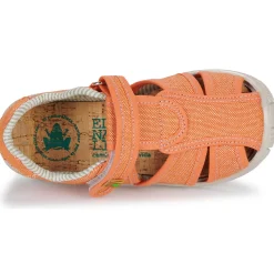 El Naturalista - NT77196-TERRACOTA