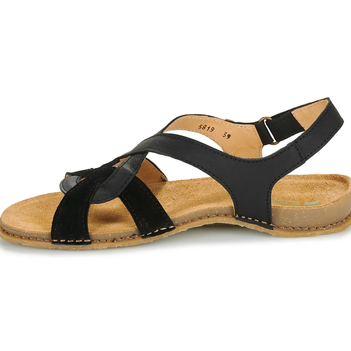 El Naturalista - PANGLAO N5819