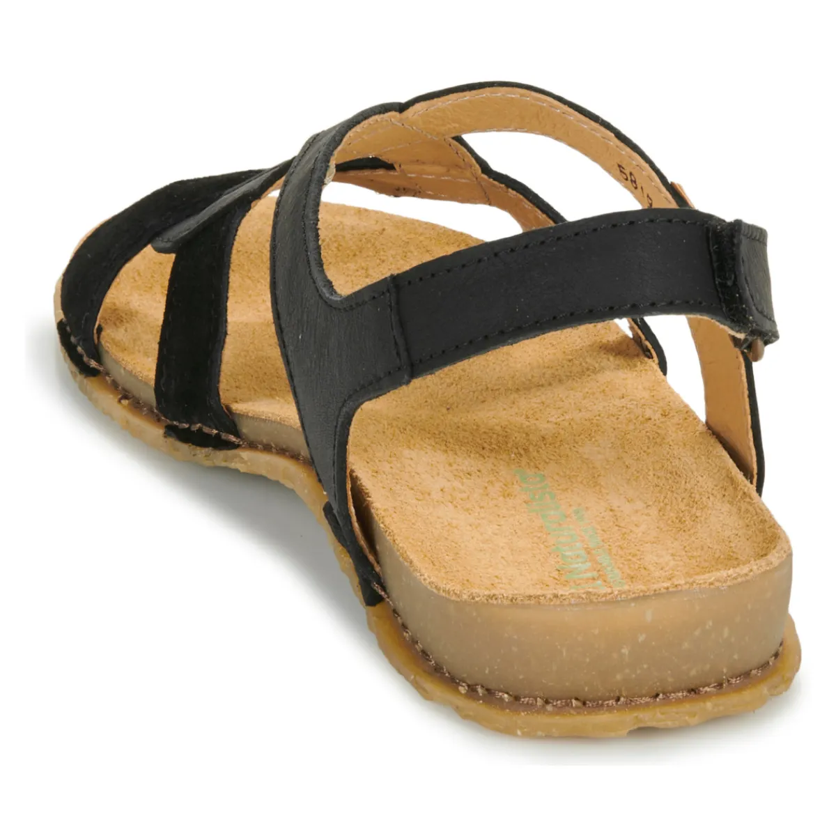 El Naturalista - PANGLAO N5819