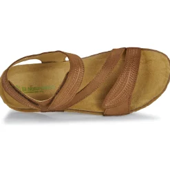 El Naturalista - PANGLAO N5810 Marron Best