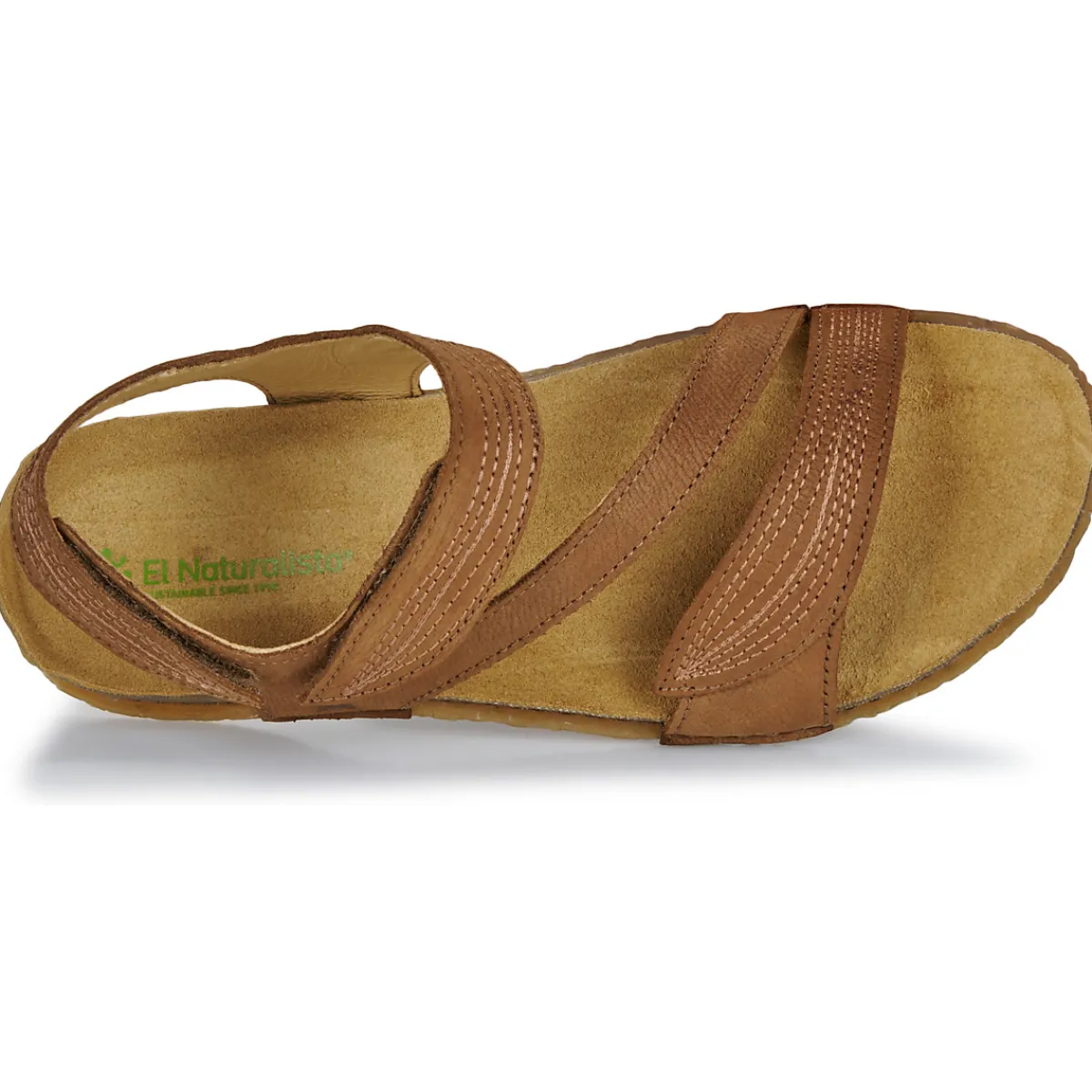 El Naturalista - PANGLAO N5810 Marron Best
